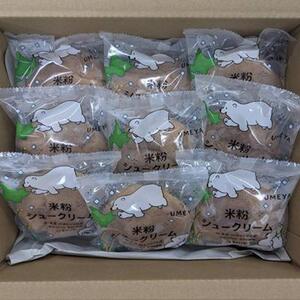 【定期便】グルテンフリー、米粉100％美「米粉シュークリーム」9個　（3回隔月発送）【 シュークリーム 菓子 お菓子 おかし スイーツ デザート 洋菓子 旭川 北海道 人気 お楽しみ セット 食品 】_04852