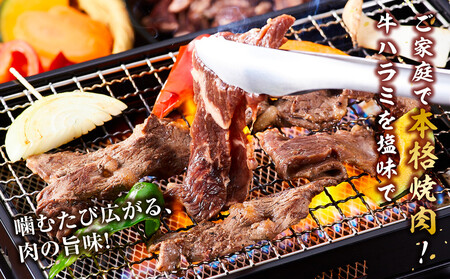 牛ハラミ約1kg(350g×3)(本格塩味)| ハラミ 北海道 牛肉_5076