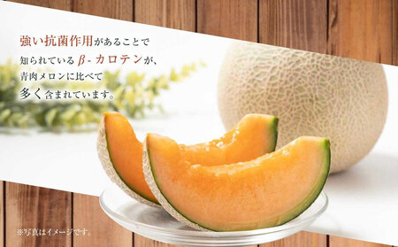 【先行予約】北海道産赤肉メロン1.3kg×1玉 (2026年7月中旬から発送開始) | メロン_05228