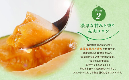 【先行予約】北海道の赤肉メロン1玉（1玉標準 1.3kg以上）2026年6月下旬から発送開始 | メロン _05230