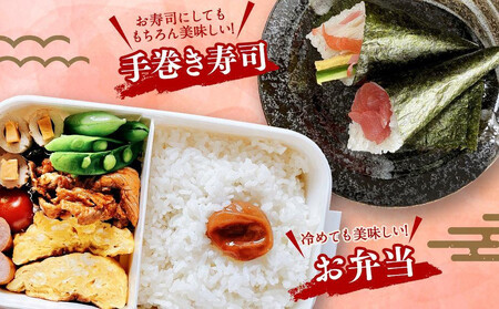 【5月発送】令和7年 特Aランク 無洗米 旭川産ゆめぴりか6kg(3kg×2)フレッシュ真空パック | ゆめぴりか 北海道 限定 一人暮らし_00404