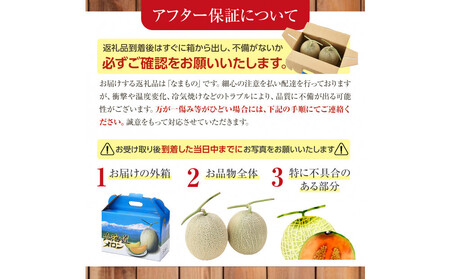 【先行予約】 北海道産青肉メロン1.3kg×1玉 (2026年7月中旬から発送) | メロン_05289