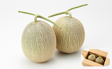 【先行予約】 北海道産青肉メロン1.6kg×2玉 (2026年7月中旬から発送)  | メロン_05291