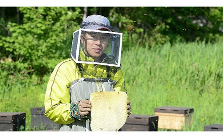 【スティック蜂蜜】アカシア 2.5g×50本入 | はちみつ_05350