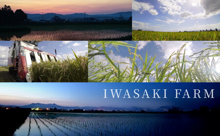 【定期便】令和7年産　ゆめぴりか 5kg×1袋　6ヶ月毎月発送 | 特A ゆめぴりか 新米 北海道 限定_05391