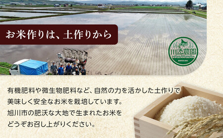 【6月発送】令和7年産　ゆめぴりか 無洗米 真空パック5kg×4個 合計20kg_02166