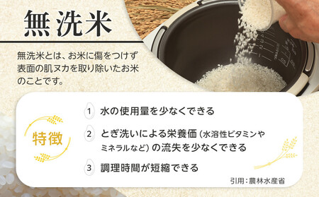 ZIP!で紹介!【4月配送】令和7年産 ななつぼし 無洗米 真空パック 5kg×2袋 10kg_05239