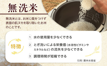 【4月配送】令和7年産　ゆめぴりか 無洗米 真空パック 5kg×2袋 10kg_05241