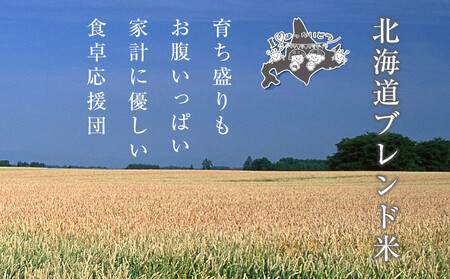 【3回定期便】白米 ブレンド米 5kg 北海道 旭川市 定期便 精米