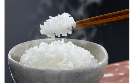 令和7年北海道産 きらら397 10kg（5kg×2袋）| 米 ご飯 _05310