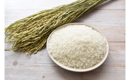 令和7年北海道産 きらら397 10kg（5kg×2袋）| 米 ご飯 _05310