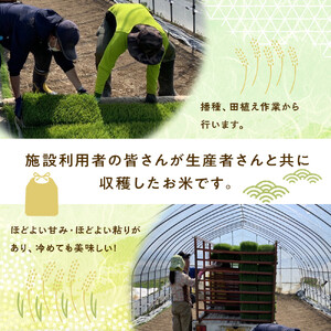 【6回定期便】ふくしえんの白米 ななつぼし 5kg 北海道 旭川市 定期便 精米 ブランド米 _05686