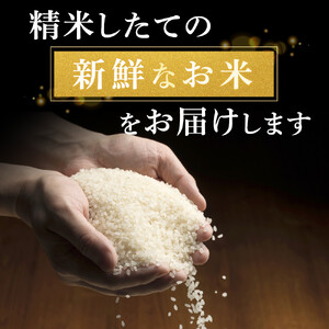 【6回定期便】ふくしえんの白米 ななつぼし 5kg 北海道 旭川市 定期便 精米 ブランド米 _05686