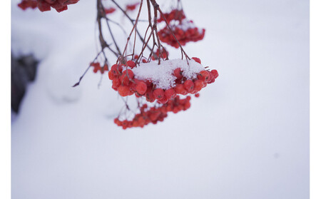 Nanakamado Asahikawa フレグランススプレー_05434