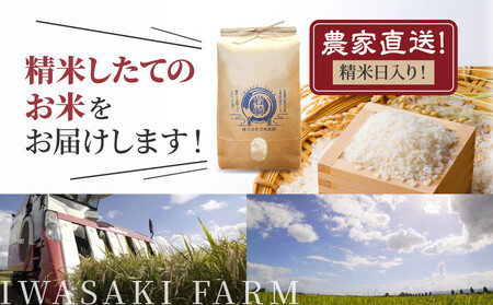 【5月配送】令和7年産　無洗米ゆめぴりか 5kg×2袋 10kg_05679