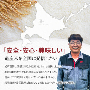 【3回隔月定期便】岩崎農園 白米 特A ゆめぴりか 5kg×2袋 10kg 北海道 旭川市 定期便 精米 ブランド米_05682