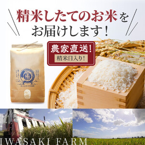 【3回隔月定期便】岩崎農園 白米 特A ゆめぴりか 5kg×2袋 10kg 北海道 旭川市 定期便 精米 ブランド米_05682