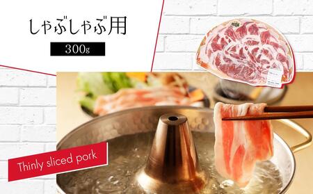 3.3kg!大雪さんろく笹豚肉5種セット | 豚肉 _00036