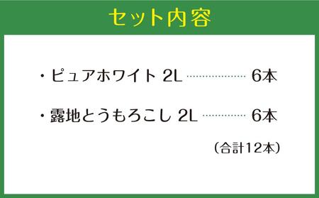 【先行予約】北海道産ピュアホワイト・露地とうもろこし　計12本 2024年8月下旬から発送開始予定_00113