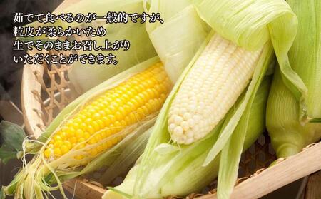 【先行予約】旭川近郊産 白と黄色のとうもろこしセット　各5本（計3.5kg）2026年8月上旬から発送開始 | とうもろこし コーン スイートコーン 北海道 限定_00094