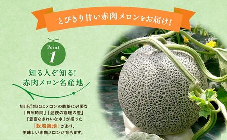 【先行予約】旭川発！北海道の赤肉メロン8kg（4～6玉）(2025年7月上旬より発送開始予定) | メロン　メロン　メロン　メロン　メロン_01103