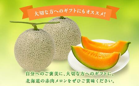 【先行予約】旭川発！北海道の赤肉メロン8kg（4～6玉）(2025年7月上旬より発送開始予定) | メロン　メロン　メロン　メロン　メロン_01103