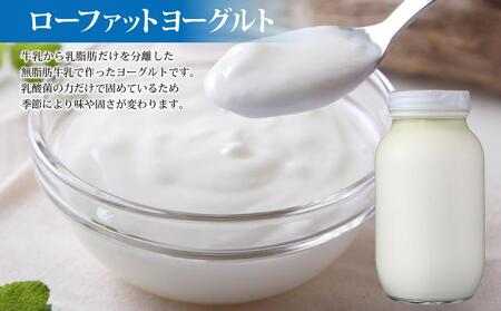 定期便6ヶ月 低温殺菌牛乳・ローファットヨーグルト・ストリングチーズ_01174