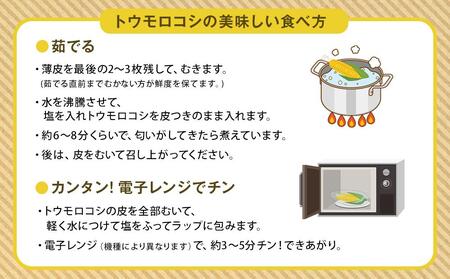 【令和7年6月発送開始】かに太郎定期便Bセット（アスパラ、赤肉メロン、白くまコーン） | アスパラ　アスパラ　アスパラ　アスパラ　アスパラ　メロン　メロン　メロン　メロン　メロン　とうもろこし　とうもろこし　とうもろこし　とうもろこし　とうもろこし _01597