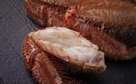 北海道オホーツク産　毛ガニ　1尾　800ｇ前後 _01190 ●