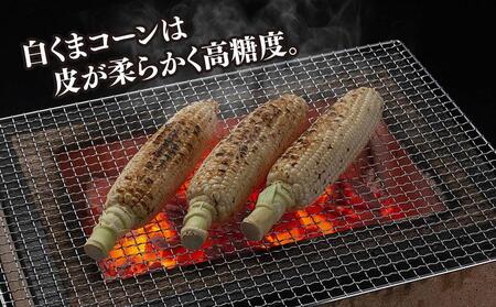 だいだいまん　とうもろこし３０本 タイ産 とうもろこし 軸付きスイートコーン （真空パック） 30本