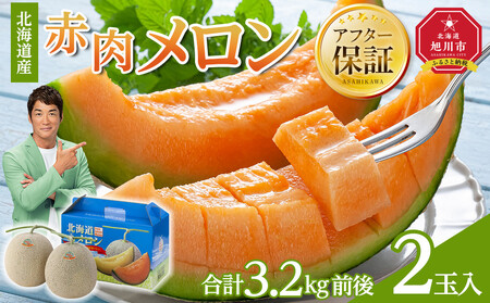 ふるさと納税 土佐市 2025年春発送　メロン2玉入(1玉約1.4kg〜1.8kg) ふるさと納税 先行予約 メロン ２玉入り（1玉約1.4kg〜1.8kg）