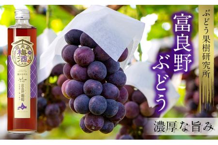 【日本酒ベースの果汁梅酒】 蝦夷蔵 梅酒 LAB.セット（苺・林檎・葡萄）