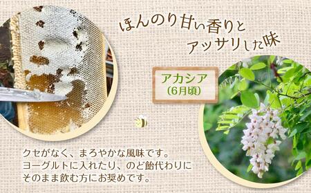 【スティックはちみつ】アカシア 2.5g×100本入 | はちみつ_00512