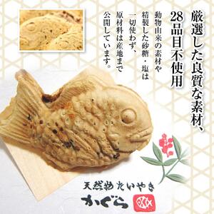 【グルテンフリー 28品目不使用】玄米粉たい焼き（自家製つぶし餡）8個セット　たい焼き _00688