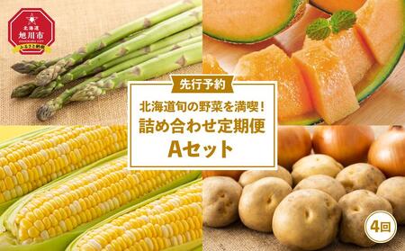 【先行予約】北海道旬の野菜を満喫！詰め合わせ定期便Aセット(4回)_02067