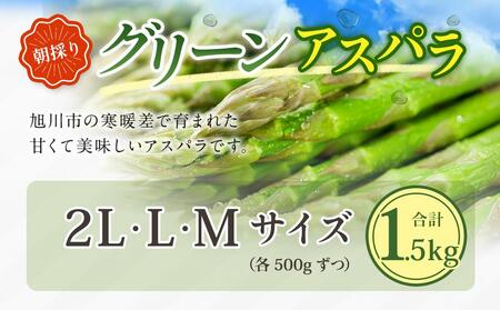 【先行予約】朝採り グリーンアスパラ M～2L 1.5kg (2025年5月下旬発送予定) | アスパラ　アスパラ　アスパラ　アスパラ　アスパラ _01705