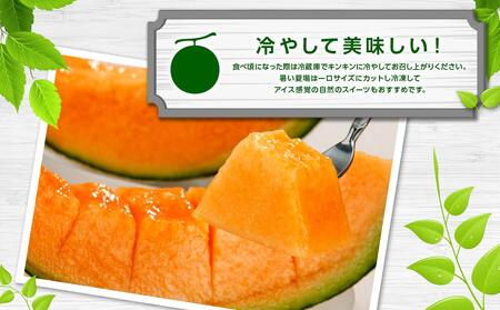 【先行予約】北海道産赤肉メロン合計3kg前後(2玉入)2026年7月中旬から順次発送予定 | メロン _01979