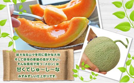 【先行予約】北海道産赤肉メロン合計3kg前後(2玉入)2026年7月中旬から順次発送予定 | メロン _01979