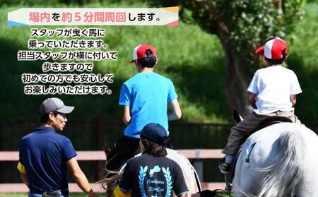 ひき馬体験　4名様分_01540