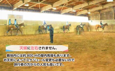 ひき馬体験　4名様分_01540