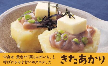 北海道産じゃがいも（北あかり）5kg（2025年9月下旬から発送開始予定）| じゃがいも _00416
