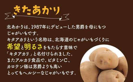 北海道産じゃがいも（北あかり）5kg（2025年9月下旬から発送開始予定）| じゃがいも _00416
