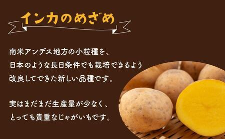 【先行予約】北海道産じゃがいも（インカのめざめ）4kg（2024年9月中旬頃発送開始）【 インカの目覚め じゃがいも ジャガイモ いも 芋 ポテト 旭川 北海道 野菜 人気 】_00417