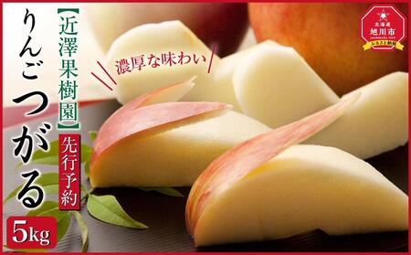 【先行予約】近澤果樹園　りんご「つがる」　5kg(2024年10月初旬より送予定)_01177 | りんごりんごりんごりんごりんごりんごりんごりんごりんごりんごりんごりんごりんごりんごりんごりんごりんごりんごりんごりんご つがるつがるつがるつがるつがるつがるつがるつがるつがるつがる