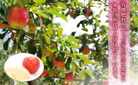 【先行予約】近澤果樹園　りんご「つがる」　5kg(2024年10月初旬より送予定)_01177 | りんごりんごりんごりんごりんごりんごりんごりんごりんごりんごりんごりんごりんごりんごりんごりんごりんごりんごりんごりんご つがるつがるつがるつがるつがるつがるつがるつがるつがるつがる