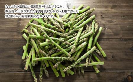 【2026年先行予約】朝採りアスパラ Lサイズ 2kg（500g×4）鮮度保持パック入り 旭川近郊産 露地物(5月中旬発送開始予定) | アスパラ 北海道_01591