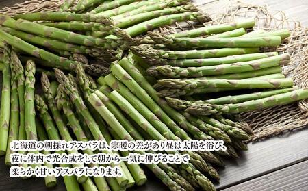 【2025年発送先行予約】朝採りアスパラ Lサイズ 3kg（500g×6）鮮度保持パック入り 旭川近郊産 露地物(2025年5月中旬発送予定) | アスパラ アスパラ アスパラ アスパラ アスパラ アスパラガス アスパラガス アスパラガス アスパラガス アスパラガス _01592