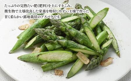 【先行予約】【訳あり】露地物朝採りアスパラ 1.5kg（500g×3）鮮度保持フィルム入り(2024年5月中旬発送予定)_01589