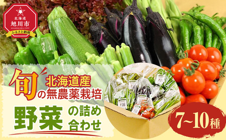 【2026先行予約】【地元雑誌で紹介】【北海道旭川産】旬の野菜詰め合わせ[7～10種類](栽培期間中農薬不使用・化学肥料不使用) | 野菜詰め合わせ_02944