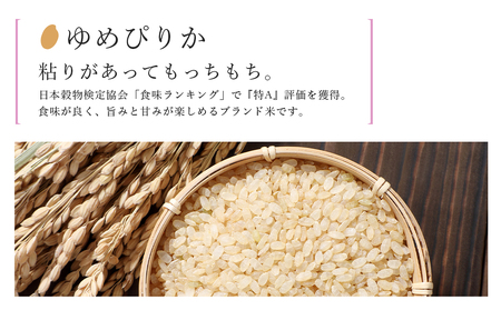 【定期便 12ヶ月】特別栽培米産地直送 玄米 ゆめぴりか 10kg×12回 《帰山農園》